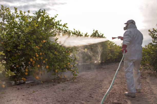 Best Exterminator Services  in Manor, PA